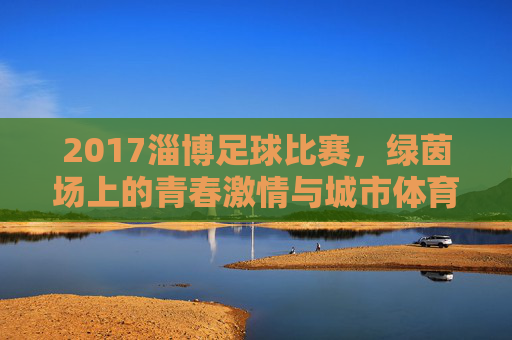 2017淄博足球比赛，绿茵场上的青春激情与城市体育记忆
