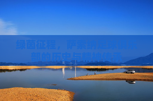绿茵征程，萨索纳足球俱乐部的历史与精神传承