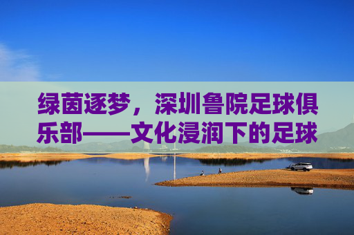 绿茵逐梦，深圳鲁院足球俱乐部——文化浸润下的足球新力量