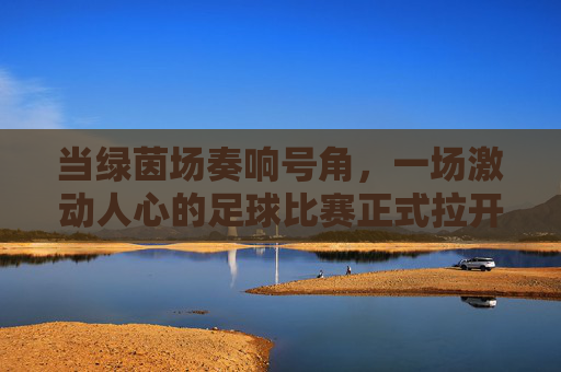 当绿茵场奏响号角，一场激动人心的足球比赛正式拉开帷幕
