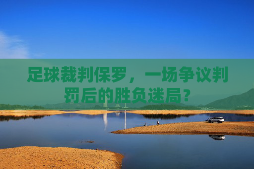 足球裁判保罗,一场争议判罚后的胜负迷局?
