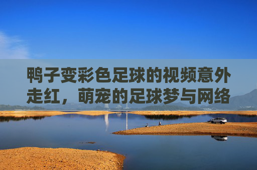 鸭子变彩色足球的视频意外走红，萌宠的足球梦与网络狂欢