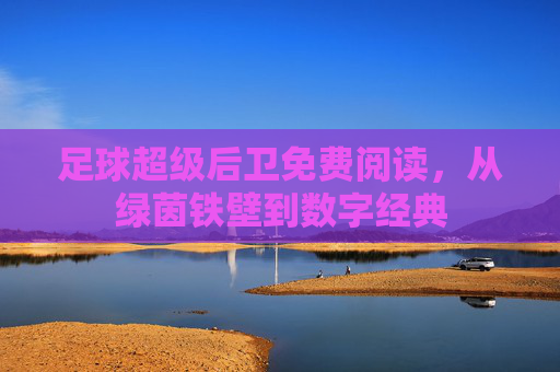 足球超级后卫免费阅读,从绿茵铁壁到数字经典