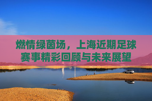 燃情绿茵场，上海近期足球赛事精彩回顾与未来展望