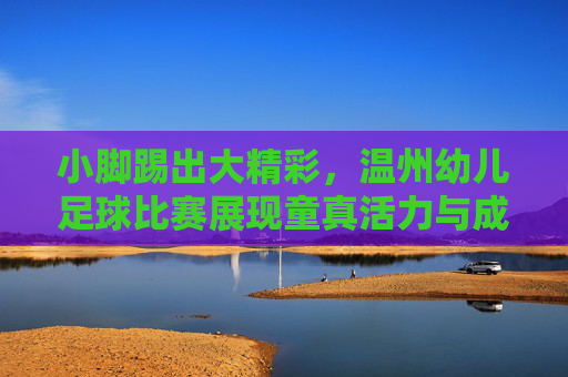 小脚踢出大精彩,温州幼儿足球比赛展现童真活力与成长