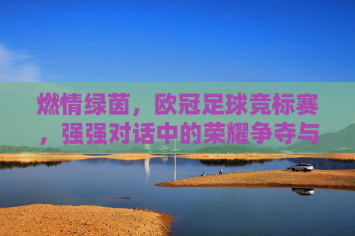 燃情绿茵,欧冠足球竞标赛,强强对话中的荣耀争夺与激情绽放,燃情绿茵,欧冠足球竞标赛,强强对话中的荣耀争夺与激情绽放