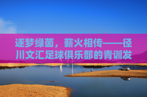 逐梦绿茵,薪火相传——径川文汇足球俱乐部的青训发展与社区足球新篇章,逐梦绿茵,薪火相传——径川文汇足球俱乐部的青训发展与社区足球新篇章