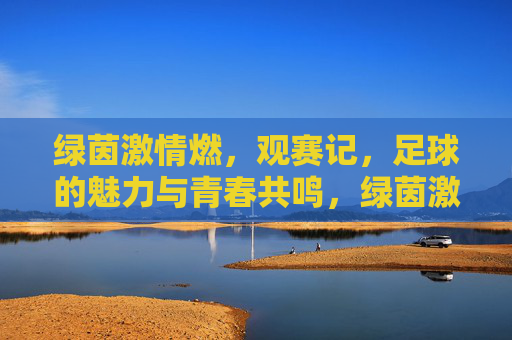 绿茵激情燃，观赛记，足球的魅力与青春共鸣，绿茵激情燃，足球的魅力与青春共鸣观赛记
