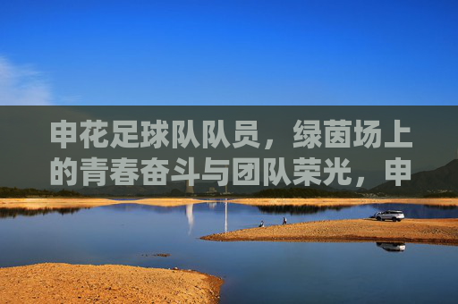 申花足球队队员，绿茵场上的青春奋斗与团队荣光，申花足球队队员，绿茵场上的青春奋斗与团队荣光