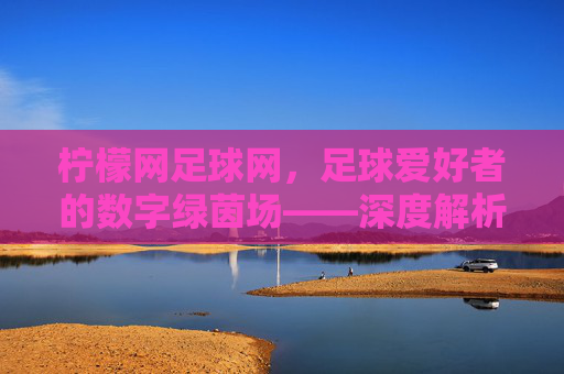 柠檬网足球网，足球爱好者的数字绿茵场——深度解析平台特色与价值，柠檬网足球网，足球爱好者的数字绿茵场——深度解析平台特色与价值