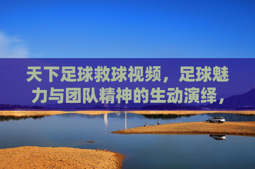 天下足球救球视频，足球魅力与团队精神的生动演绎，天下足球救球视频，足球魅力与团队精神的生动演绎