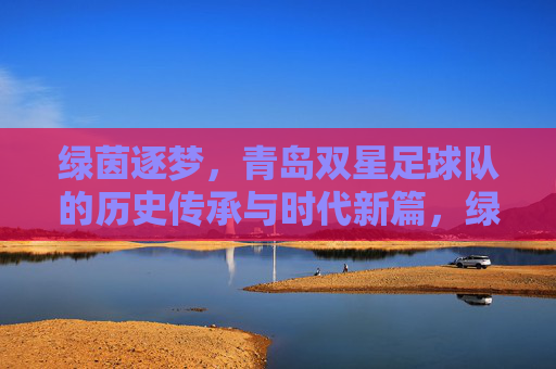 绿茵逐梦，青岛双星足球队的历史传承与时代新篇，绿茵逐梦，青岛双星足球队的历史传承与时代新篇