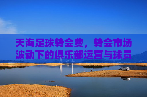 天海足球转会费，转会市场波动下的俱乐部运营与球员价值评估，天海足球转会费，转会市场波动下的俱乐部运营与球员价值评估