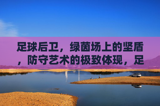 足球后卫，绿茵场上的坚盾，防守艺术的极致体现，足球后卫，绿茵场上的坚盾，防守艺术的极致体现