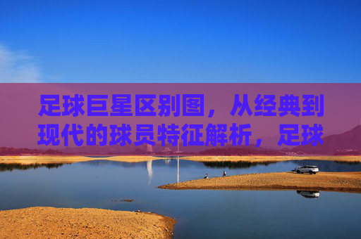 足球巨星区别图，从经典到现代的球员特征解析，足球巨星特征对比，经典与现代球员的演变解析
