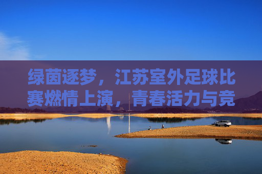 绿茵逐梦，江苏室外足球比赛燃情上演，青春活力与竞技精神共谱新篇，绿茵逐梦，江苏室外足球比赛燃情上演，青春活力与竞技精神共谱新篇