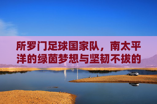 所罗门足球国家队，南太平洋的绿茵梦想与坚韧不拔的团队精神，所罗门足球国家队，南太平洋的绿茵梦想与坚韧不拔的团队精神