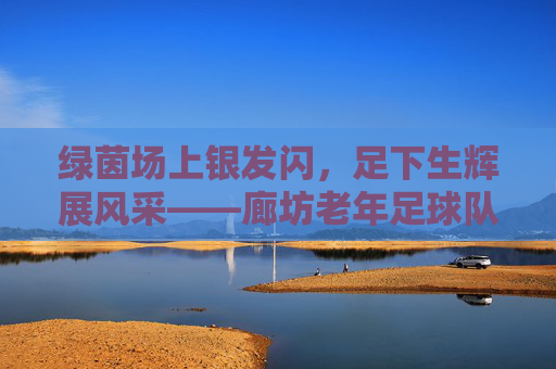 绿茵场上银发闪，足下生辉展风采——廊坊老年足球队纪实，绿茵场上银发闪，足下生辉展风采——廊坊老年足球队纪实