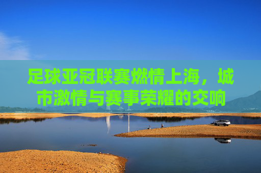 足球亚冠联赛燃情上海，城市激情与赛事荣耀的交响