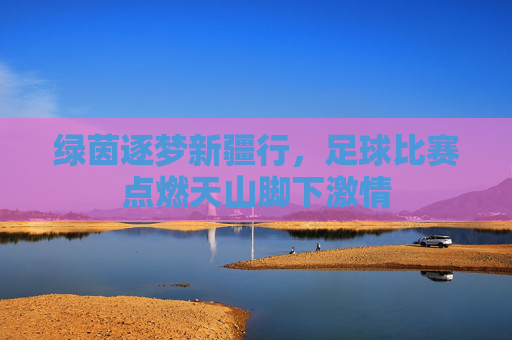 绿茵逐梦新疆行,足球比赛点燃天山脚下激情
