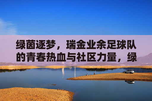 绿茵逐梦，瑞金业余足球队的青春热血与社区力量，绿茵逐梦，瑞金业余足球队的青春热血与社区力量