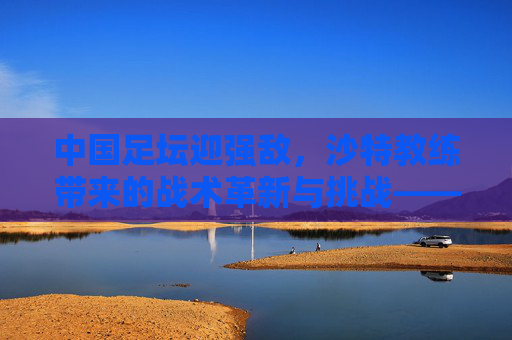 中国足坛迎强敌,沙特教练带来的战术革新与挑战——中国国家队与沙特足球教练的实战碰撞