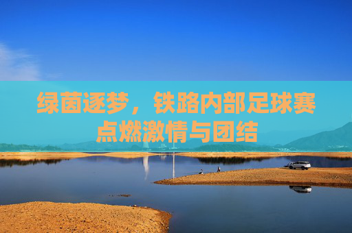 绿茵逐梦，铁路内部足球赛点燃激情与团结
