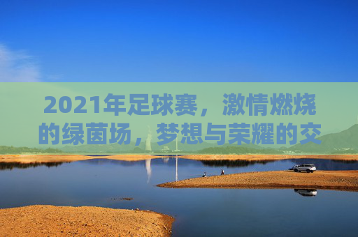 2021年足球赛,激情燃烧的绿茵场,梦想与荣耀的交织
