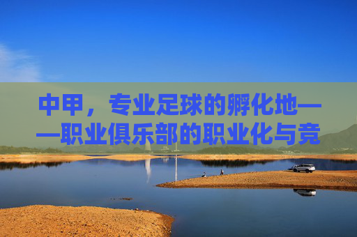 中甲,专业足球的孵化地——职业俱乐部的职业化与竞技力提升之路
