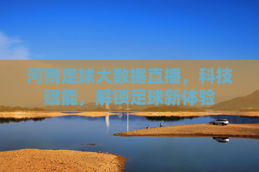 河南足球大数据直播，科技赋能，解锁足球新体验