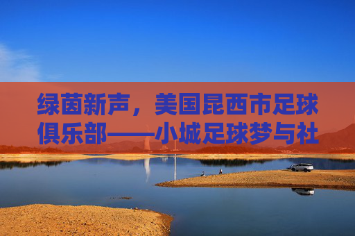 绿茵新声，美国昆西市足球俱乐部——小城足球梦与社区活力的交响