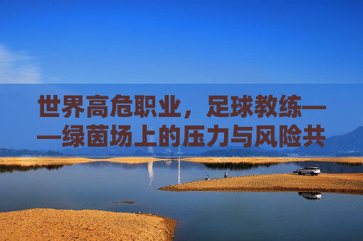 世界高危职业，足球教练——绿茵场上的压力与风险共舞者，世界高危职业，足球教练——绿茵场上的压力与风险共舞者