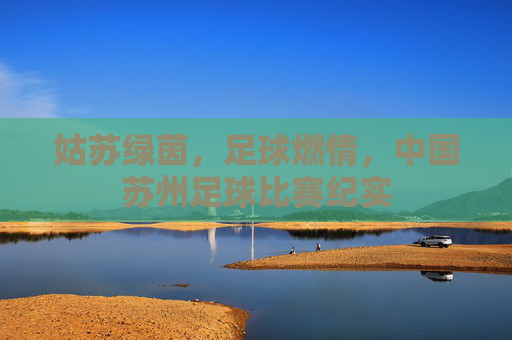 姑苏绿茵，足球燃情，中国苏州足球比赛纪实
