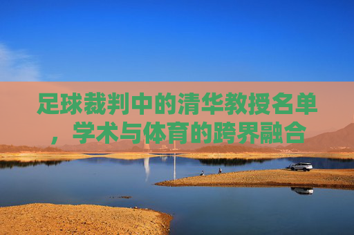 足球裁判中的清华教授名单,学术与体育的跨界融合