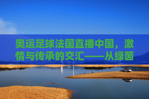 奥运足球法国直播中国,激情与传承的交汇——从绿茵赛场到屏幕前的中国观赛热潮