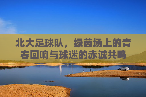北大足球队，绿茵场上的青春回响与球迷的赤诚共鸣