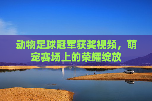 动物足球冠军获奖视频，萌宠赛场上的荣耀绽放