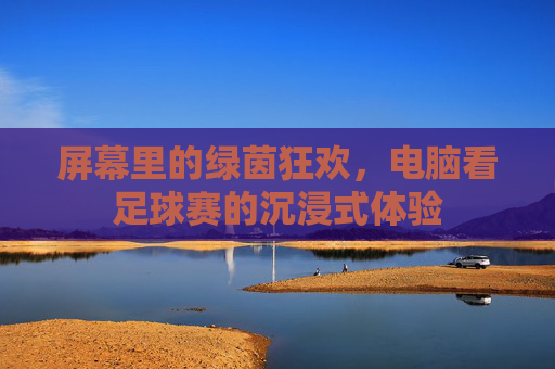 屏幕里的绿茵狂欢，电脑看足球赛的沉浸式体验