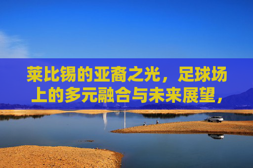 莱比锡的亚裔之光,足球场上的多元融合与未来展望,莱比锡的亚裔之光,足球场上的多元融合与未来展望