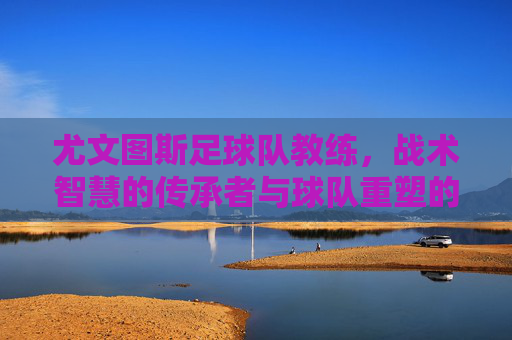 尤文图斯足球队教练,战术智慧的传承者与球队重塑的引领者
