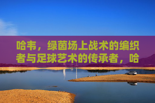 哈韦，绿茵场上战术的编织者与足球艺术的传承者，哈韦，绿茵场上战术的编织者与足球艺术的传承者