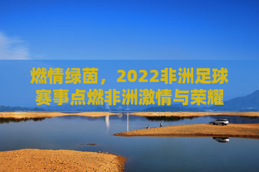 燃情绿茵,2022非洲足球赛事点燃非洲激情与荣耀