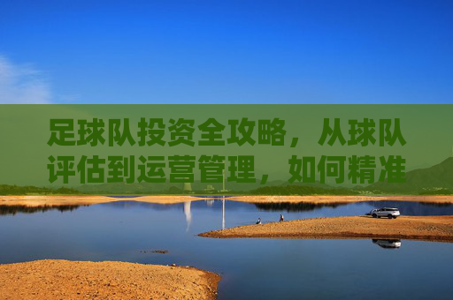足球队投资全攻略,从球队评估到运营管理,如何精准买入并实现价值