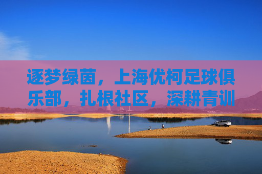逐梦绿茵，上海优柯足球俱乐部，扎根社区，深耕青训，为足球梦想注入活力，逐梦绿茵，上海优柯足球俱乐部扎根社区深耕青训，为足球梦想注入活力