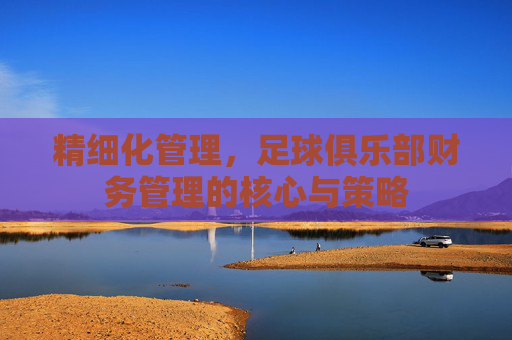 精细化管理，足球俱乐部财务管理的核心与策略