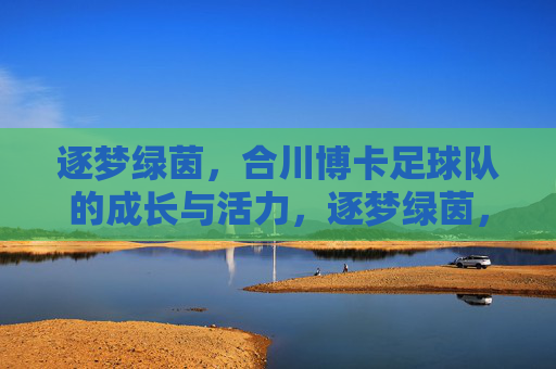 逐梦绿茵，合川博卡足球队的成长与活力，逐梦绿茵，合川博卡足球队的成长与活力
