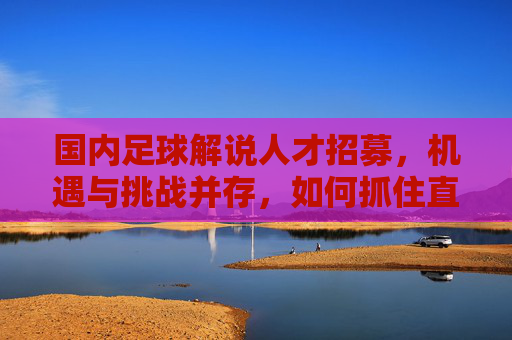 国内足球解说人才招募，机遇与挑战并存，如何抓住直播时代的风口？国内足球解说人才招募，机遇与挑战并存，直播时代风口如何把握？