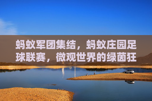 蚂蚁军团集结,蚂蚁庄园足球联赛,微观世界的绿茵狂欢与团队精神绽放