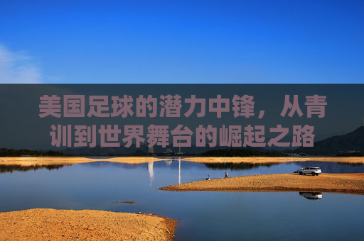 美国足球的潜力中锋，从青训到世界舞台的崛起之路