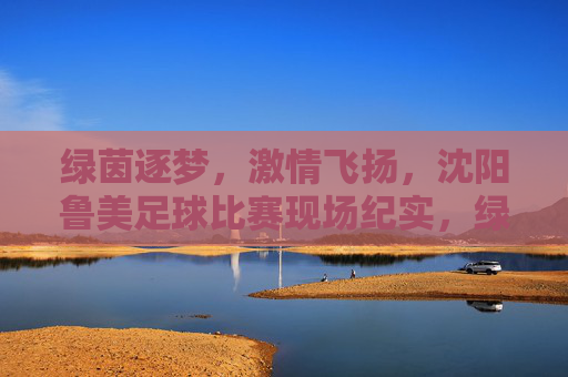 绿茵逐梦，激情飞扬，沈阳鲁美足球比赛现场纪实，绿茵逐梦，激情飞扬，沈阳鲁美足球比赛现场纪实